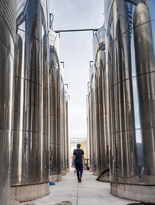bodegas ventura de vega